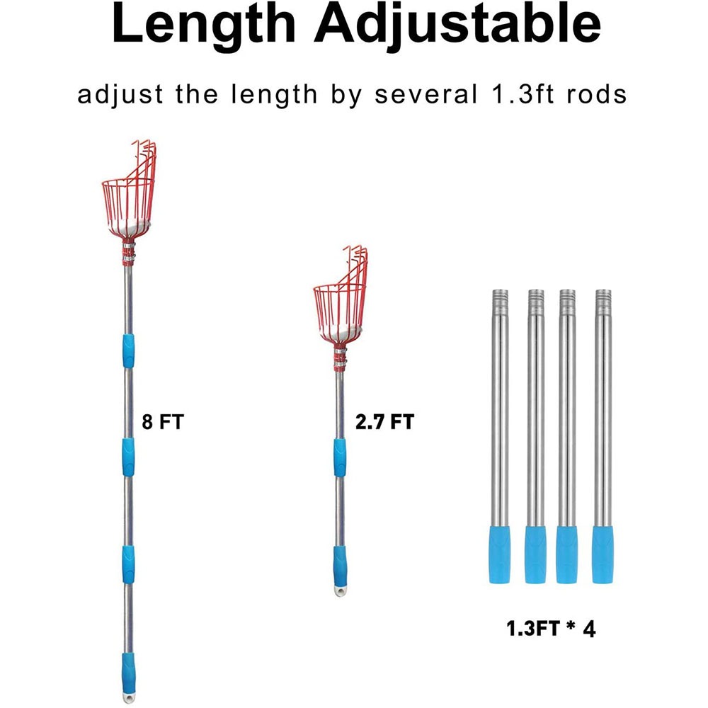 Raccogli Frutta da 260 cm, Ces - Cycle Zone recensione e prezzo
